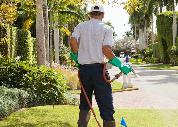 About Smithville GA Pest Control Pros